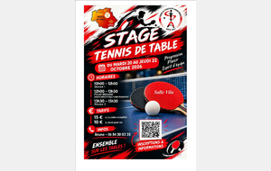 STAGE TOUSSAINT + ouverture de la salle (séance libre)