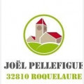 JOEL PELLEFIGUE