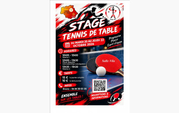 STAGE TOUSSAINT + ouverture de la salle (séance libre)